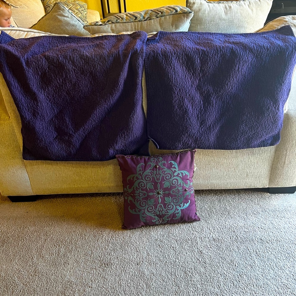 Royal purple Euro Pillow cases and purple pier one accent pillow